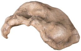 Repti-Zoo Jaskinia kamienno-gliniana 29x20x12cm Repti-Zoo