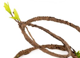 Repti-Zoo Jungle Multi Vines - rozgałęziona liana gięta 150cm Repti-Zoo