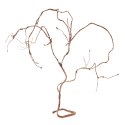 Repti-Zoo Jungle Multi Vines - rozgałęziona liana gięta 150cm Repti-Zoo Repti-Zoo Jungle Multi Vines - rozgałęziona liana gięta 150cm Repti-Zoo