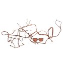 Repti-Zoo Jungle Multi Vines - rozgałęziona liana gięta 150cm Repti-Zoo Repti-Zoo Jungle Multi Vines - rozgałęziona liana gięta 150cm Repti-Zoo