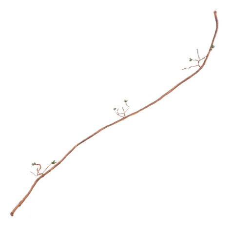 Repti-Zoo Jungle Vine - liana gięta z liśćmi 150cm Repti-Zoo Repti-Zoo Jungle Vine - liana gięta z liśćmi 150cm Repti-Zoo