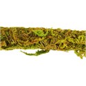Repti-Zoo Liana z naturalnym mchem 1,5cm x 2m Repti-Zoo Repti-Zoo Liana z naturalnym mchem 1,5cm x 2m Repti-Zoo