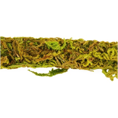 Repti-Zoo Liana z naturalnym mchem 1,5cm x 2m Repti-Zoo Repti-Zoo Liana z naturalnym mchem 1,5cm x 2m Repti-Zoo