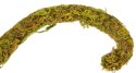 Repti-Zoo Liana z naturalnym mchem 1,5cm x 2m Repti-Zoo Repti-Zoo Liana z naturalnym mchem 1,5cm x 2m Repti-Zoo