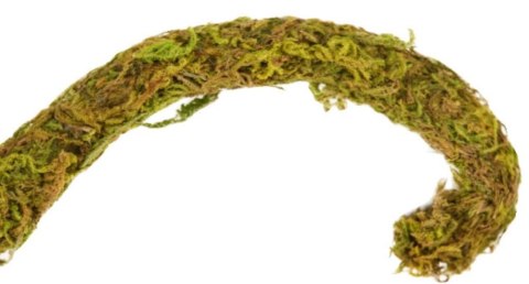 Repti-Zoo Liana z naturalnym mchem 1,5cm x 2m Repti-Zoo Repti-Zoo Liana z naturalnym mchem 1,5cm x 2m Repti-Zoo
