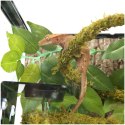 Repti-Zoo Liana z naturalnym mchem 1,5cm x 2m Repti-Zoo Repti-Zoo Liana z naturalnym mchem 1,5cm x 2m Repti-Zoo