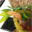Repti-Zoo Liana z naturalnym mchem 1,5cm x 2m Repti-Zoo Repti-Zoo Liana z naturalnym mchem 1,5cm x 2m Repti-Zoo