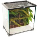 Repti-Zoo Liana z naturalnym mchem 1,5cm x 2m Repti-Zoo Repti-Zoo Liana z naturalnym mchem 1,5cm x 2m Repti-Zoo
