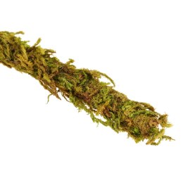 Repti-Zoo Liana z naturalnym mchem 1cm x 2m Repti-Zoo