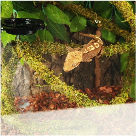 Repti-Zoo Liana z naturalnym mchem 1cm x 2m Repti-Zoo Repti-Zoo Liana z naturalnym mchem 1cm x 2m Repti-Zoo