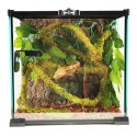 Repti-Zoo Liana z naturalnym mchem 1cm x 2m Repti-Zoo Repti-Zoo Liana z naturalnym mchem 1cm x 2m Repti-Zoo