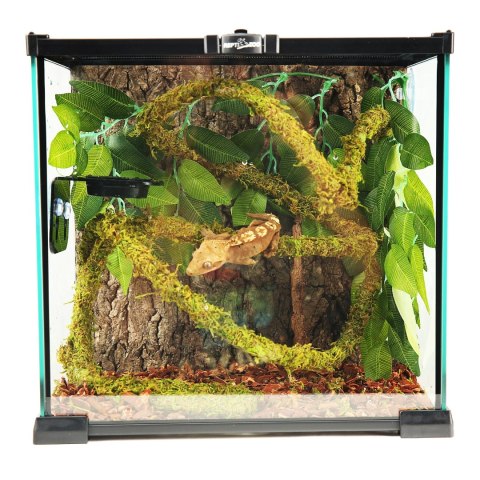 Repti-Zoo Liana z naturalnym mchem 1cm x 2m Repti-Zoo Repti-Zoo Liana z naturalnym mchem 1cm x 2m Repti-Zoo