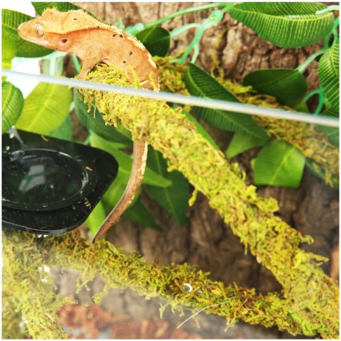 Repti-Zoo Liana z naturalnym mchem 1cm x 2m Repti-Zoo Repti-Zoo Liana z naturalnym mchem 1cm x 2m Repti-Zoo