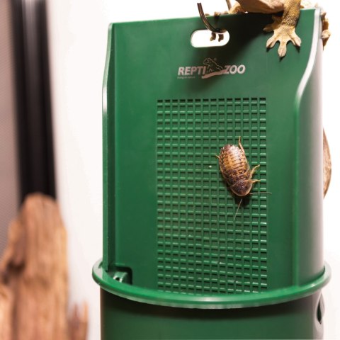 Repti-Zoo Live Feeding Dish - wiszący karmnik dla gadów z przyssawką Repti-Zoo Repti-Zoo Live Feeding Dish - wiszący karmnik dla gadów z przyssawką Repti-Zoo