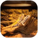 Repti-Zoo Mini Daylight Spot NANO 25W - żarówka grzewcza 2 sztuki Repti-Zoo