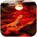 Repti-Zoo Mini Infrared Spot 25W NANO - żarówka grzewcza 2 sztuki Repti-Zoo