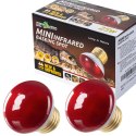 Repti-Zoo Mini Infrared Spot 25W NANO - żarówka grzewcza 2 sztuki Repti-Zoo