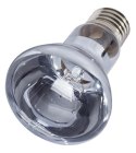 Repti-Zoo Neodymium Daylight 100W - żarówka grzewcza neodymowa Repti-Zoo