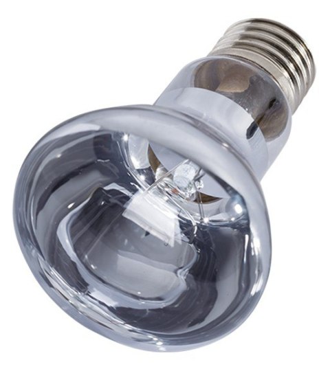 Repti-Zoo Neodymium Daylight 100W - żarówka grzewcza neodymowa Repti-Zoo