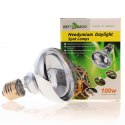 Repti-Zoo Neodymium Daylight 100W - żarówka grzewcza neodymowa Repti-Zoo