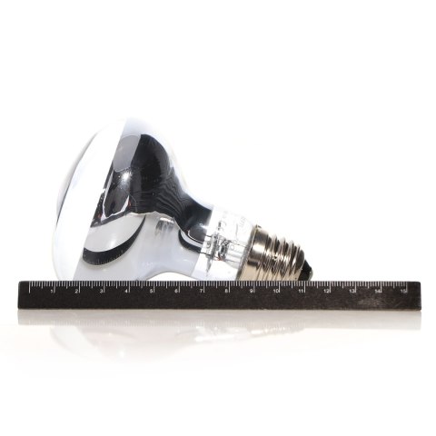 Repti-Zoo Neodymium Daylight 100W - żarówka grzewcza neodymowa Repti-Zoo Repti-Zoo Neodymium Daylight 100W - żarówka grzewcza neodymowa Repti-Zoo