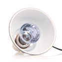 Repti-Zoo Neodymium Daylight 35W - żarówka grzewcza neodymowa Repti-Zoo