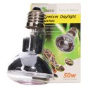 Repti-Zoo Neodymium Daylight 50W - żarówka grzewcza neodymowa Repti-Zoo