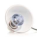 Repti-Zoo Neodymium Daylight 50W - żarówka grzewcza neodymowa Repti-Zoo