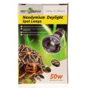 Repti-Zoo Neodymium Daylight 50W - żarówka grzewcza neodymowa Repti-Zoo