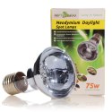 Repti-Zoo Neodymium Daylight 75W - żarówka grzewcza neodymowa Repti-Zoo