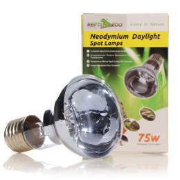 Repti-Zoo Neodymium Daylight 75W - żarówka grzewcza neodymowa Repti-Zoo