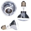 Repti-Zoo Neodymium Daylight 75W - żarówka grzewcza neodymowa Repti-Zoo