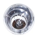 Repti-Zoo Neodymium Daylight 75W - żarówka grzewcza neodymowa Repti-Zoo