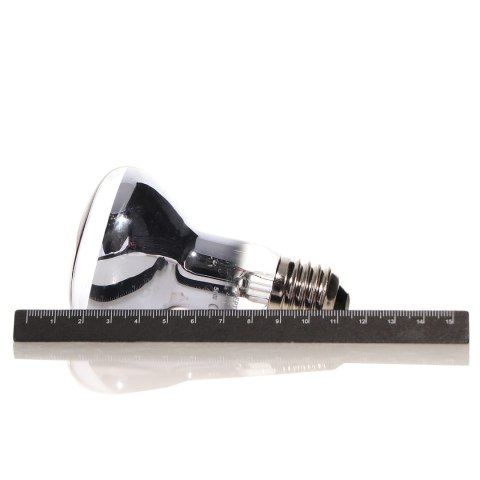 Repti-Zoo Neodymium Daylight 75W - żarówka grzewcza neodymowa Repti-Zoo Repti-Zoo Neodymium Daylight 75W - żarówka grzewcza neodymowa Repti-Zoo