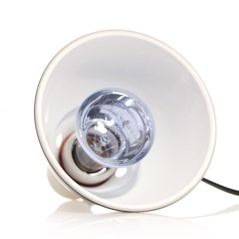 Repti-Zoo Neodymium Daylight 75W - żarówka grzewcza neodymowa Repti-Zoo Repti-Zoo Neodymium Daylight 75W - żarówka grzewcza neodymowa Repti-Zoo