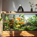Resun Reptile Dome Lamp - lampa na żarówki grzewcze i UVB Resun