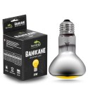 Terrario Banikane Neodymium Light - żarówka grzewcza neodymowa 25W Terrario Terrario Banikane Neodymium Light - żarówka grzewcza neodymowa 25W Terrario