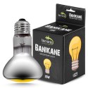 Terrario Banikane Neodymium Light - żarówka grzewcza neodymowa 25W Terrario Terrario Banikane Neodymium Light - żarówka grzewcza neodymowa 25W Terrario