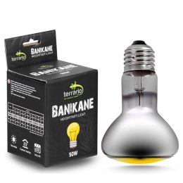 Terrario Banikane Neodymium Light - żarówka grzewcza neodymowa 50W Terrario