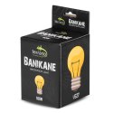 Terrario Banikane Neodymium Light - żarówka grzewcza neodymowa 50W Terrario