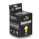 Terrario Banikane Neodymium Light - żarówka grzewcza neodymowa 50W Terrario