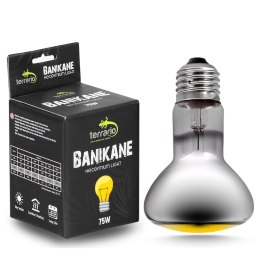 Terrario Banikane Neodymium Light - żarówka grzewcza neodymowa 75W Terrario