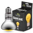 Terrario Banikane Neodymium Light - żarówka grzewcza neodymowa 75W Terrario