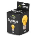 Terrario Banikane Neodymium Light - żarówka grzewcza neodymowa 75W Terrario