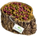 Terrario Bark Bowl - Miska do Terrarium 10x7,5x4 cm Terrario