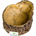 Terrario Bark Bowl - Miska do Terrarium 10x7,5x4 cm Terrario