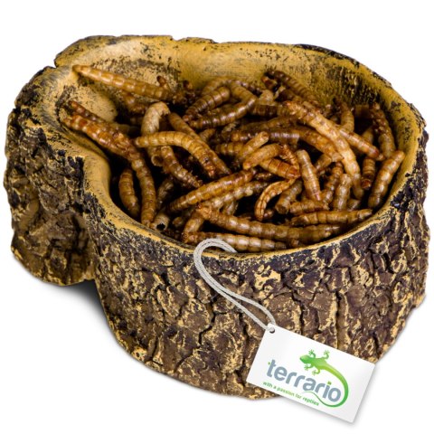 Terrario Bark Bowl - Miska do Terrarium 10x7,5x4 cm Terrario Terrario Bark Bowl - Miska do Terrarium 10x7,5x4 cm Terrario