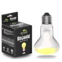 Terrario Bogande Basking Sun Light - żarówka grzewcza 50W Terrario