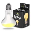 Terrario Bogande Basking Sun Light - żarówka grzewcza 50W Terrario
