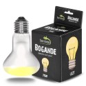 Terrario Bogande Basking Sun Light - żarówka grzewcza 75W Terrario